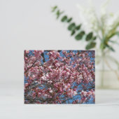 Cherry Blossom en Blue Sky Spring Floral Briefkaart (Staand voorkant)