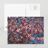 Cherry Blossom en Blue Sky Spring Floral Briefkaart (Voorkant / Achterkant)
