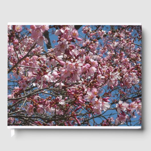 Cherry Blossom en Blue Sky Spring Floral Gastenboek (Voorkant)