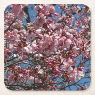 Cherry Blossom en Blue Sky Spring Floral Kartonnen Onderzetters