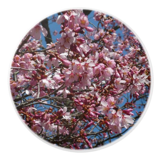 Cherry Blossom en Blue Sky Spring Floral Keramische Knop (Voorkant)
