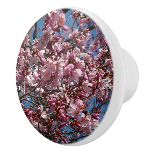 Cherry Blossom en Blue Sky Spring Floral Keramische Knop (Rechts)