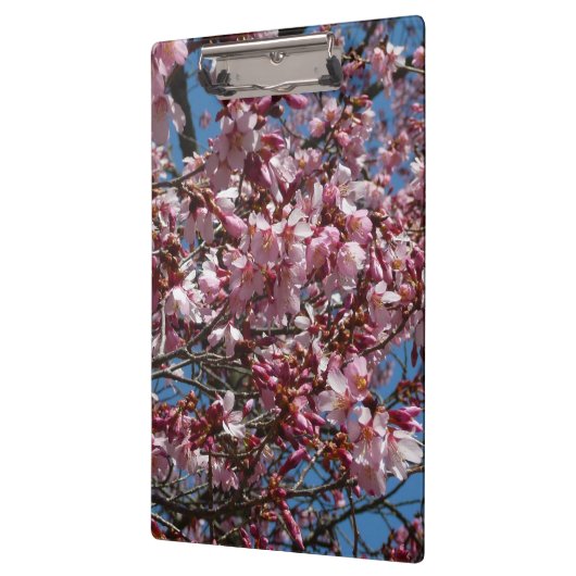 Cherry Blossom en Blue Sky Spring Floral Klembord (Links)