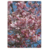 Cherry Blossom en Blue Sky Spring Floral Klembord (Achterkant)