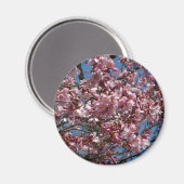 Cherry Blossom en Blue Sky Spring Floral Magneet (Voorkant / Achterkant)