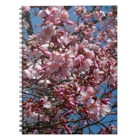 Cherry Blossom en Blue Sky Spring Floral Notitieboek (Voorkant)