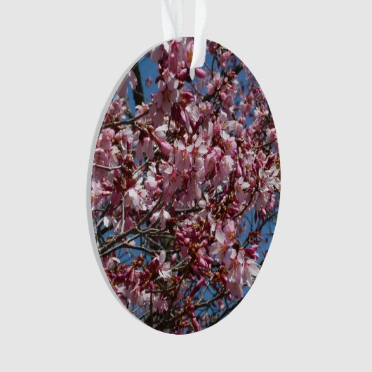 Cherry Blossom en Blue Sky Spring Floral Ornament (voorkant)