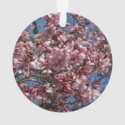 Cherry Blossom en Blue Sky Spring Floral Ornament (achterkant)