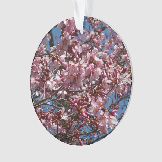 Cherry Blossom en Blue Sky Spring Floral Ornament (voorkant)