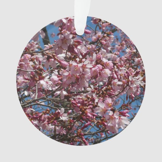 Cherry Blossom en Blue Sky Spring Floral Ornament (voorkant)