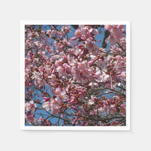Cherry Blossom en Blue Sky Spring Floral Servet (Voorkant)