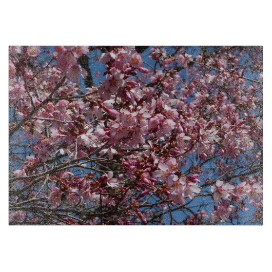 Cherry Blossom en Blue Sky Spring Floral Snijplank (Voorkant)