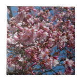 Cherry Blossom en Blue Sky Spring Floral Tegeltje (Voorkant)