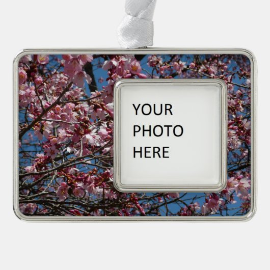 Cherry Blossom en Blue Sky Spring Floral Verzilverd Omlijst Ornament (Voorkant)
