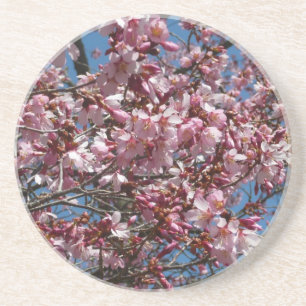 Cherry Blossom en Blue Sky Spring Floral Zandsteen Onderzetter