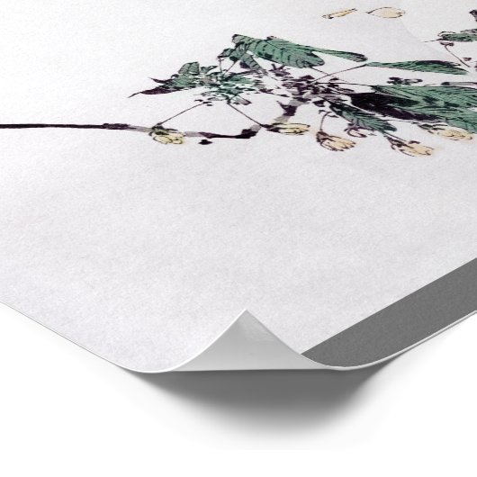 Cherry Blossom en Full Moon, Watanabe Seitei Poster (Hoek)