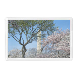 Cherry Blossom en het Washington Monument in DC Acryl Dienblad