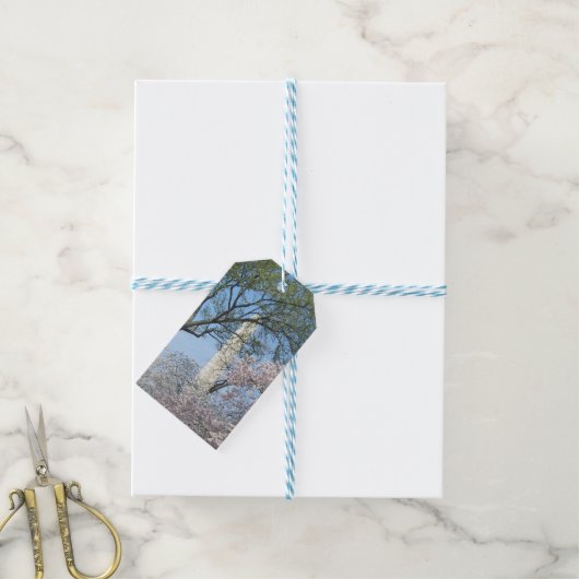 Cherry Blossom en het Washington Monument in DC Cadeaulabel (Met Touw)
