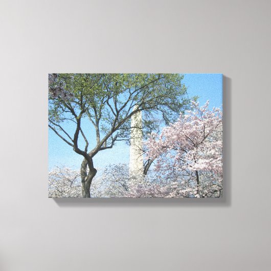 Cherry Blossom en het Washington Monument in DC Canvas Afdruk (Voorkant)