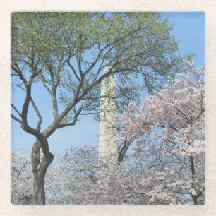 Cherry Blossom en het Washington Monument in DC Glazen Onderzetter