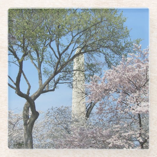 Cherry Blossom en het Washington Monument in DC Glazen Onderzetter (Voorkant)