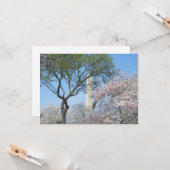 Cherry Blossom en het Washington Monument in DC Kaart (Voorkant / Achterkant in situ)