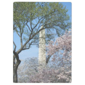 Cherry Blossom en het Washington Monument in DC Klembord (Achterkant)