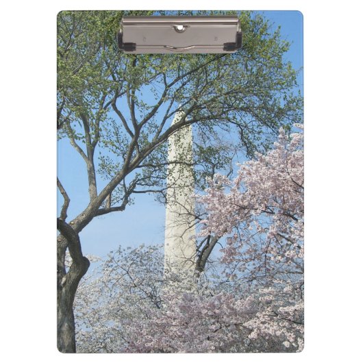 Cherry Blossom en het Washington Monument in DC Klembord (Voorkant)