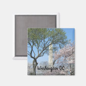 Cherry Blossom en het Washington Monument in DC Magneet (Voorkant / Achterkant)