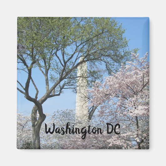 Cherry Blossom en het Washington Monument in DC Magneet (Voorkant)
