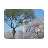 Cherry Blossom en het Washington Monument in DC Magneet (Horizontaal)