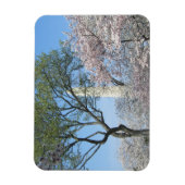 Cherry Blossom en het Washington Monument in DC Magneet (Verticaal)