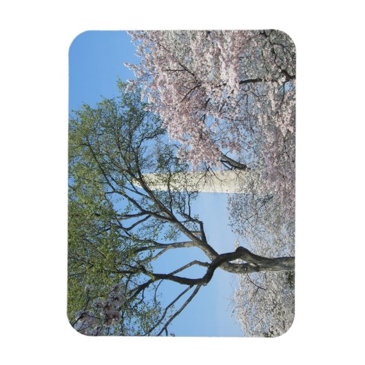 Cherry Blossom en het Washington Monument in DC Magneet (Verticaal)