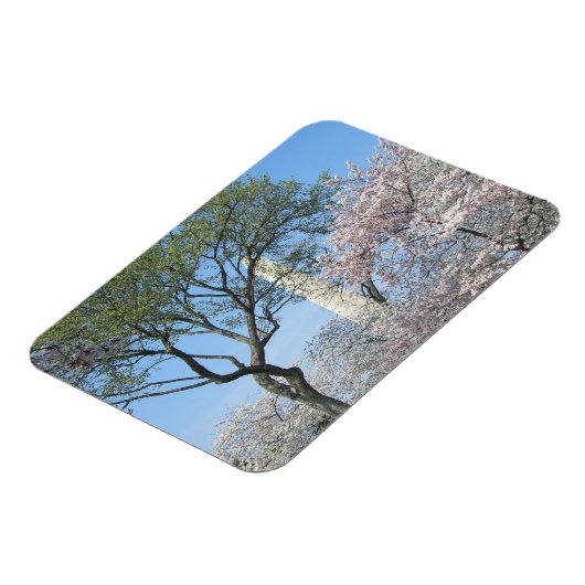 Cherry Blossom en het Washington Monument in DC Magneet (Linkerzijde)