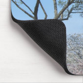 Cherry Blossom en het Washington Monument in DC Muismat (Hoek)