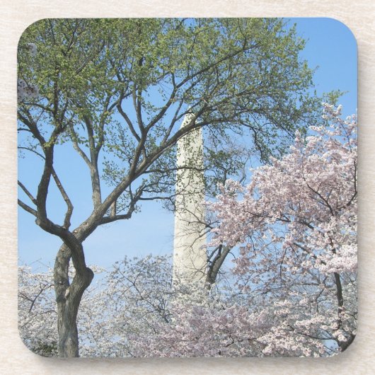 Cherry Blossom en het Washington Monument in DC Onderzetter (Voorkant)