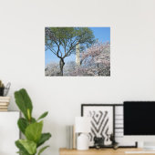 Cherry Blossom en het Washington Monument in DC Poster (Thuiskantoor)