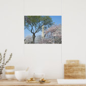 Cherry Blossom en het Washington Monument in DC Poster (Keuken)
