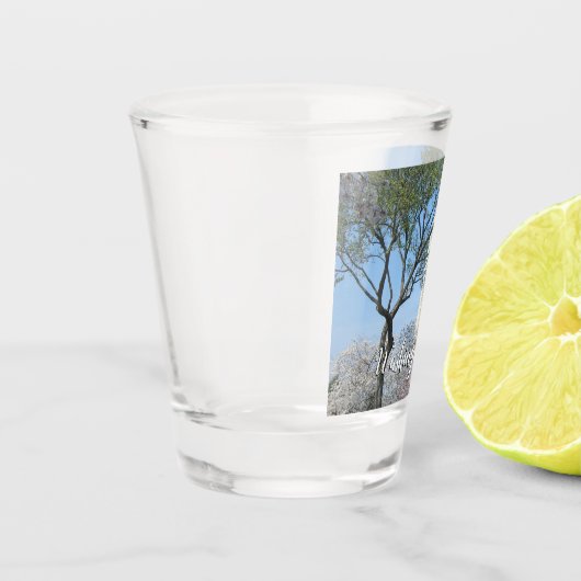 Cherry Blossom en het Washington Monument in DC Shot Glas (Links)
