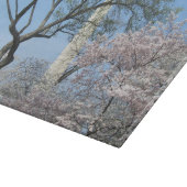 Cherry Blossom en het Washington Monument in DC Snijplank (Hoek)