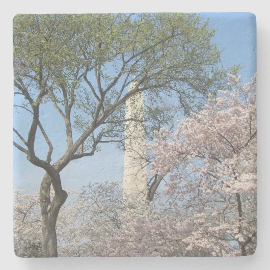 Cherry Blossom en het Washington Monument in DC Stenen Onderzetter (Voorkant)