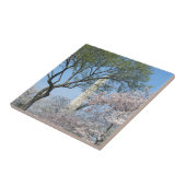 Cherry Blossom en het Washington Monument in DC Tegeltje (Zijkant)