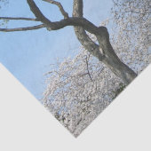 Cherry Blossom en het Washington Monument in DC Tissuepapier (Detail)