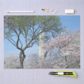Cherry Blossom en het Washington Monument in DC Tissuepapier (Craft)