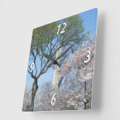 Cherry Blossom en het Washington Monument in DC Vierkante Klok (Hoek)