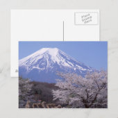 Cherry Blossom en Mt. Fuji Briefkaart (Voorkant / Achterkant)