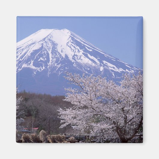 Cherry Blossom en Mt. Fuji Magneet (Voorkant)
