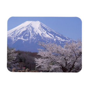 Cherry Blossom en Mt. Fuji Magneet