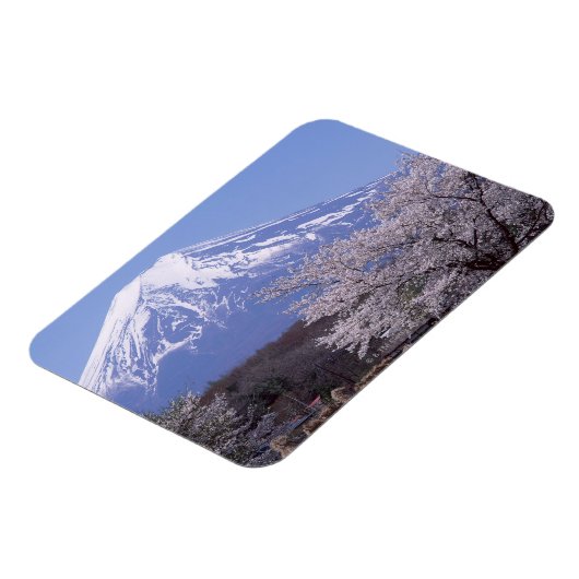 Cherry Blossom en Mt. Fuji Magneet (Linkerzijde)