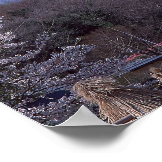 Cherry Blossom en Mt. Fuji Poster (Hoek)